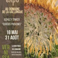 Expo d'Art à Domaine la Vallongue