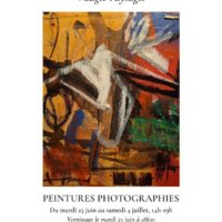 Exposition Chris Voisard