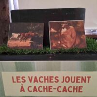 Exposition "Du Pré à l'oeuvre" : modules enfants pour explorer le monde des vaches !