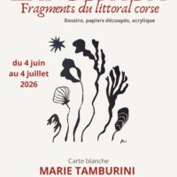Exposition "Fragments du littoral Corse" de Marie Tamburini - Cité Grossetti - Aiacciu