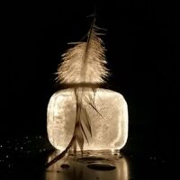 Exposition "Paysages intimes"