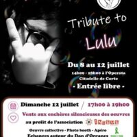 Exposition "Tribute to Lulu - Rock'n'Fun" dessins de Sten au profit d'Inseme - L'Orerata /CPIE Centre Corse A Rinascita - Corti