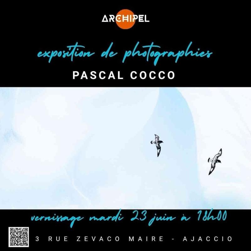 Exposition de photographies de l'artiste Pascal Cocco - Galerie Archipel - Aiacciu