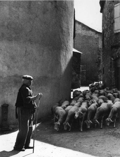 Exposition en extérieur
