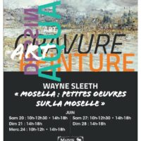 Exposition peinture "Mosella : petites oeuvres sur la Moselle"