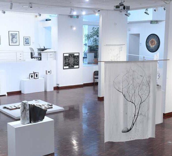 Galerie À l’écu de France – Exposition : Variations acidulées