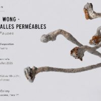 Intervalles perméables (Porous Pauses) : Alexis Wong
