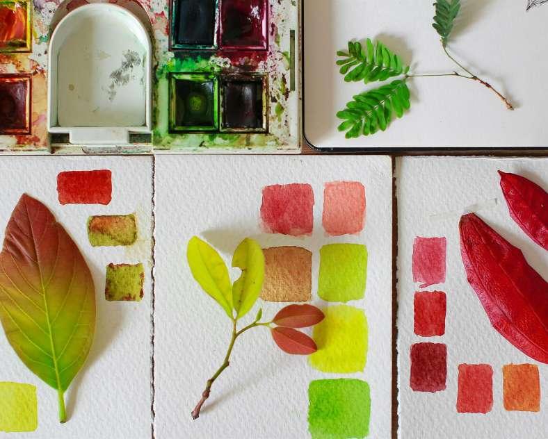 Récré nature - Peintures végétales