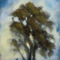 Visages d'arbre
