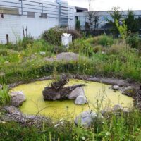 Atelier jeune public : les vacances au Frac