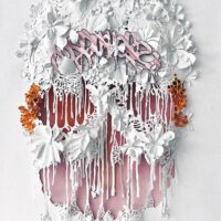 Echoes of Paper : Aurel Rubbish