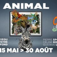 Exposition "Animal"
