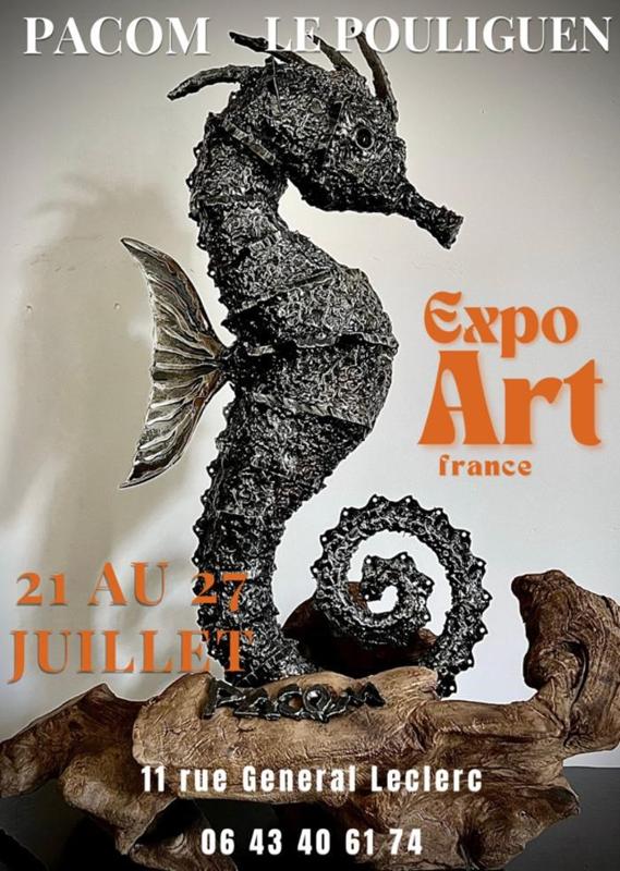 Exposition Pierrick Buisson Pacom