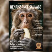 Exposition photographique collective "Renaissance sauvage"