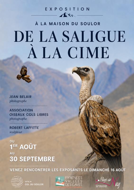 Exposition photos et sculptures bois : De la Saligue à la Cime