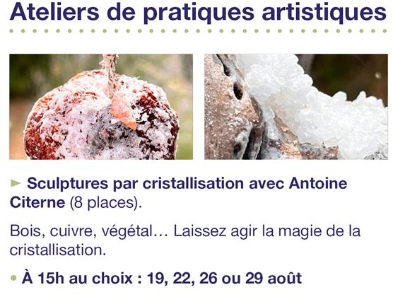 Atelier de pratiques artistiques : sculptures par cristallisation
