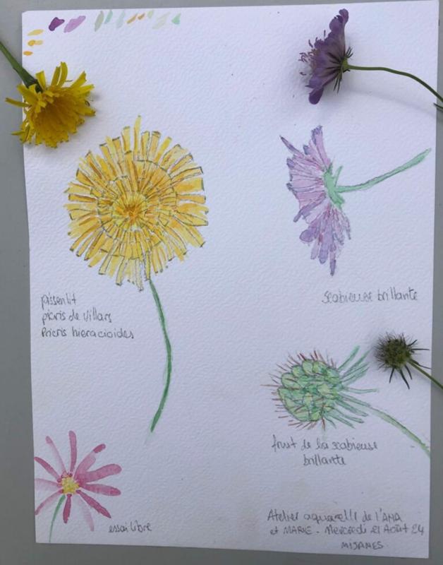 Atelier dessin nature