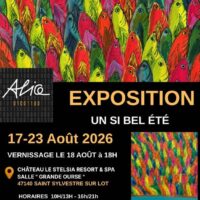 Exposition Alice 01001100 au Stelsia