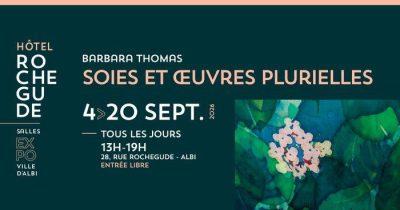 Exposition à l’Hôtel Rochegude: Soies et œuvres plurielles