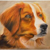 Exposition de peintures