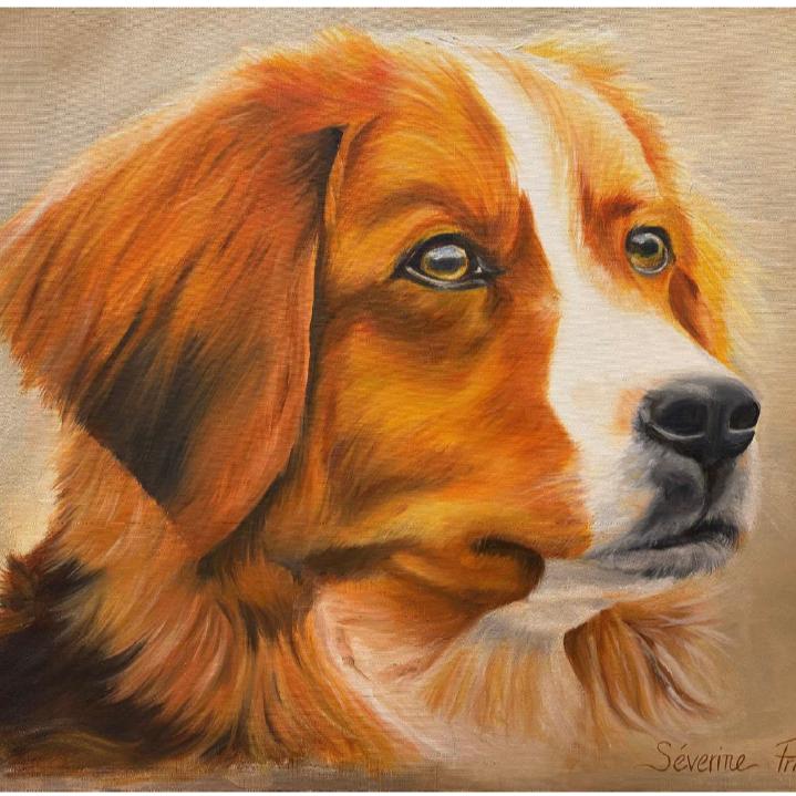 Exposition de peintures
