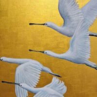 Capsule Market – Exposition : Deux regards