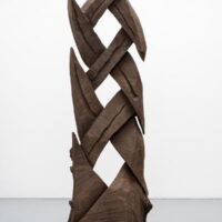 Catching Forms. Wood to Bronze : David Nash