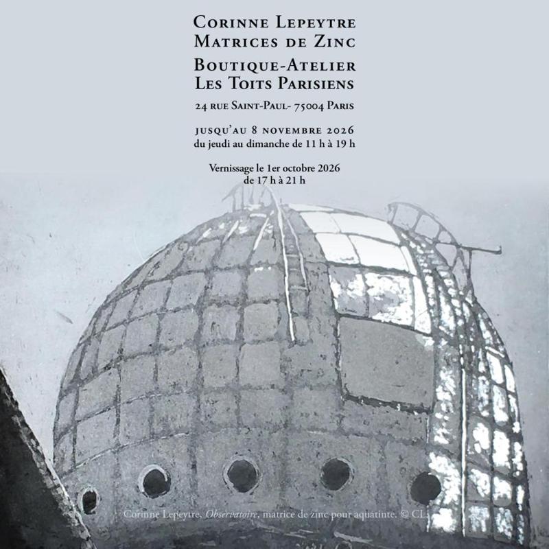 Corinne Lepeytre Matrices de Zinc Les Toits Parisiens