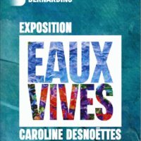 Eaux Vives : Caroline Desnoëttes