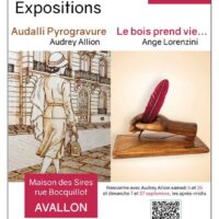 Exposition "Le bois prend vie..." de Ange Lorenzini