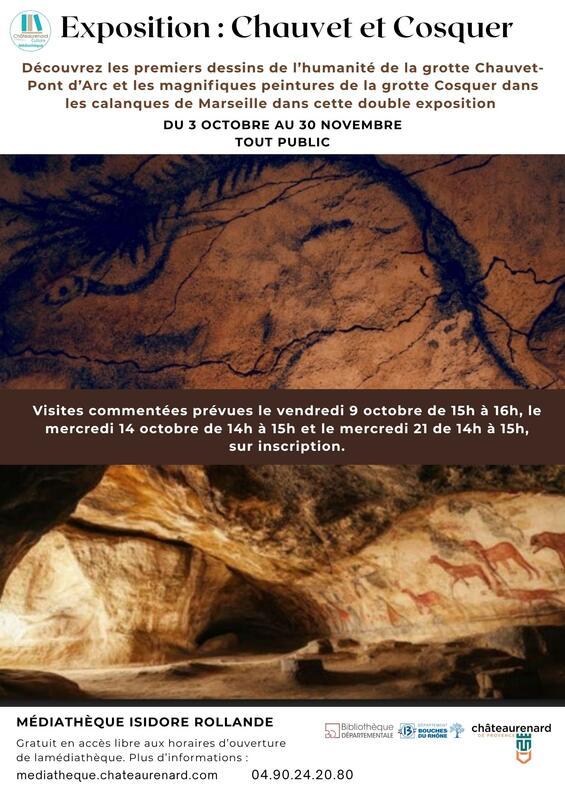 Exposition "Les grottes Chauvet et Cosquer"