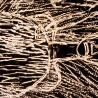 Exposition : Palette d'émotions