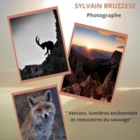 Exposition d'oeuvres de Sylvain Bruzzese