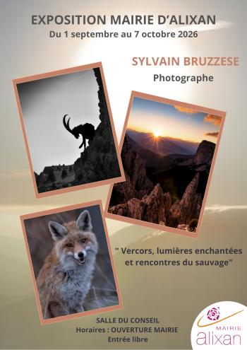Exposition d'oeuvres de Sylvain Bruzzese