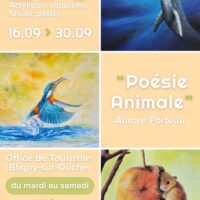 Exposition de peintures par Aurore Porteau- Bligny sur Ouche
