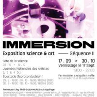 ImmersION