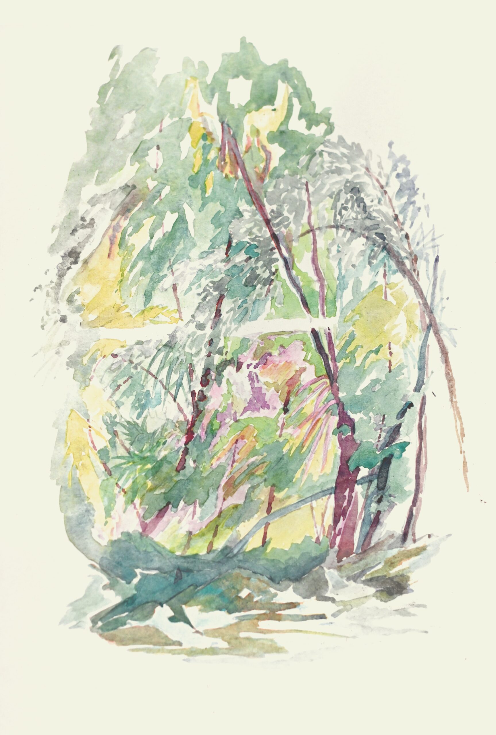 forêtfugitive2_tomadutter©