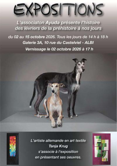 Exposition Galerie 3A