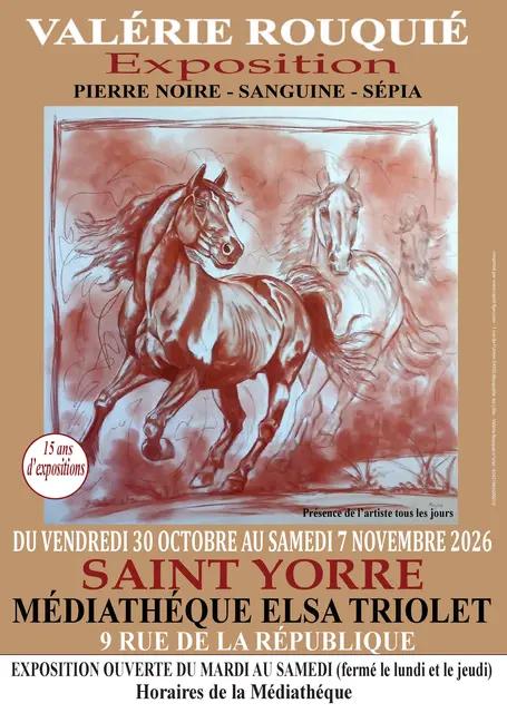 Exposition Valérie Rouquié