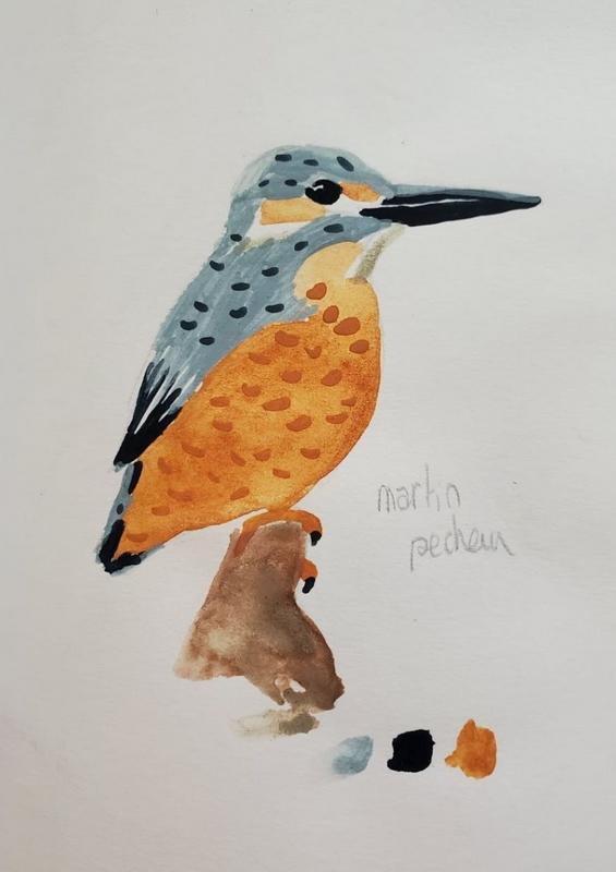 Exposition de la Maison de Loire : Oiseaux en couleur