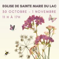 Exposition de peinture " Les fleurs des champs"