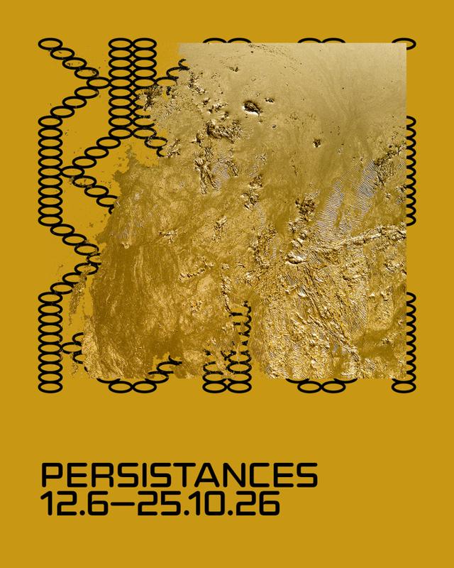 Hassan Darsi : Persistances
