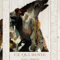 Lionel Sabatté, Ce qui reste
