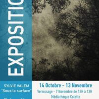 Sous la surface – Exposition de Sylvie Valem