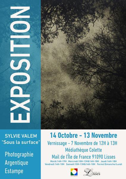 Sous la surface – Exposition de Sylvie Valem