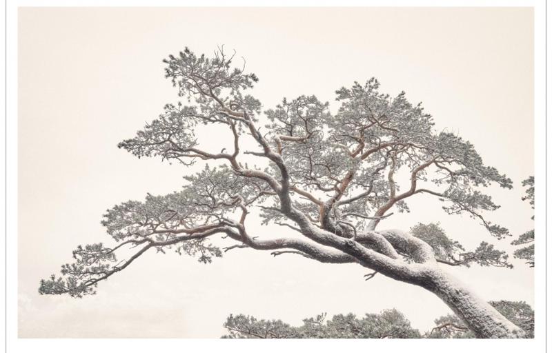 Stille : Michael Schnabel