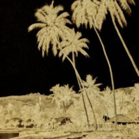 Voir Tahiti : Premières photographies 1859-1870